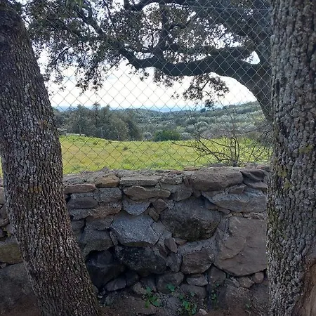Sierra San Vicente Hinojosa de San Vicente